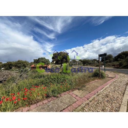 Terreno 